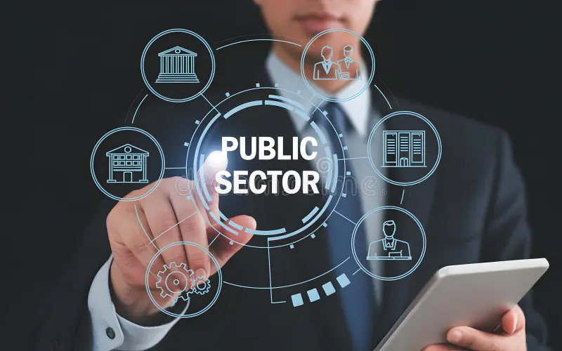 Government & Public Sector